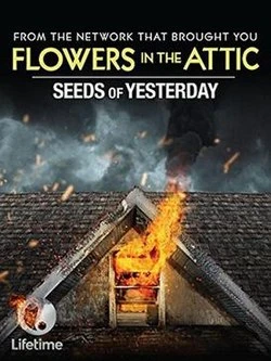 Seeds of Time poster