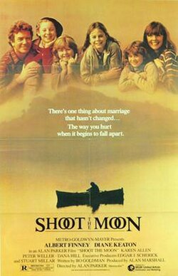 Shoot the Moon poster