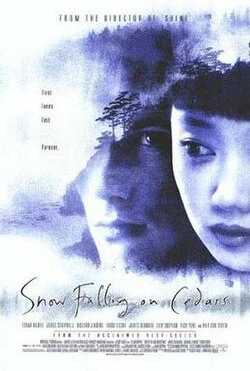 Snow Falling on Cedars poster