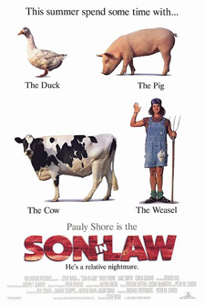 Son in Law poster