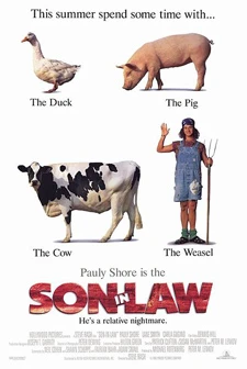 Son in Law poster