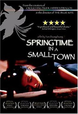 Springtime in a Small Town poster