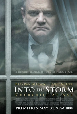Storm poster