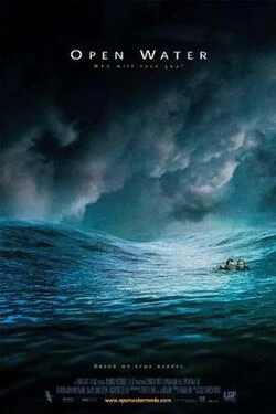Stranded poster