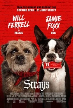 Strays poster