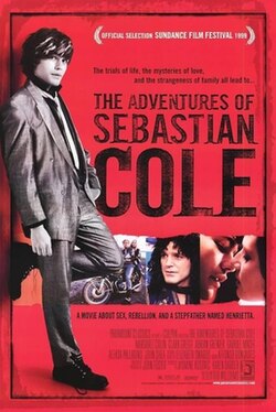 The Adventures of Sebastian Cole poster