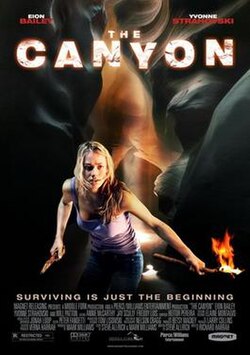 The Canyon poster