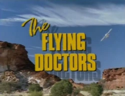 The Cranes Are Flying poster