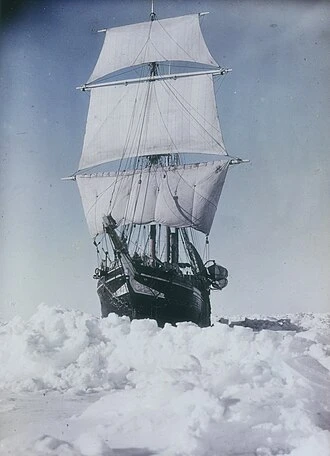 The Endurance poster