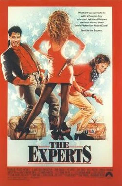 The Experts poster