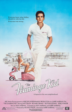 The Flamingo Kid poster