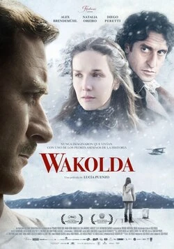 The German Doctor poster