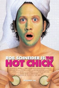 The Hot Chick poster