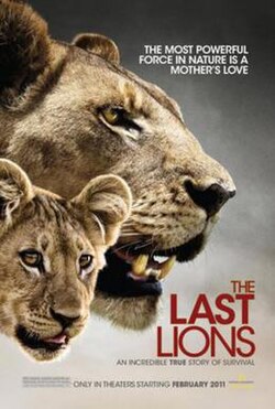 The Last Lions poster