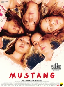 The Mustang poster