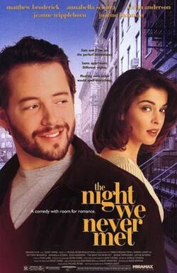 The Night We Never Met poster