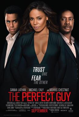 The Perfect Guy poster