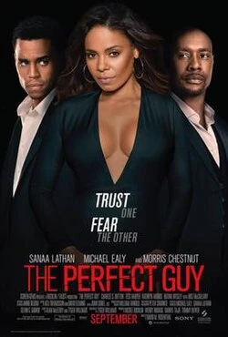 The Perfect Guy poster