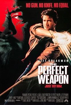 The Perfect Weapon poster