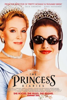 The Princess of France poster