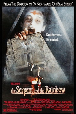The Serpent and the Rainbow poster