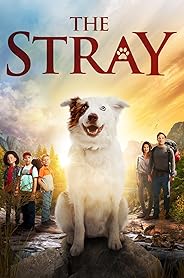 The Stray poster