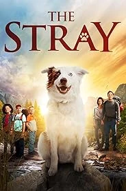 The Stray poster