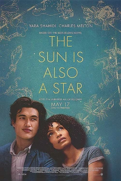 The Sun Is Also a Star poster