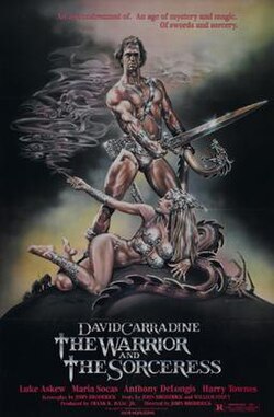 The Warrior and the Sorceress poster