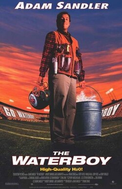 The Waterboy poster