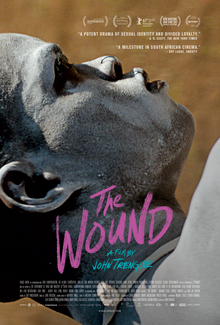 The Wound poster