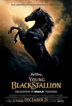 The Young Black Stallion poster
