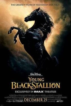 The Young Black Stallion poster