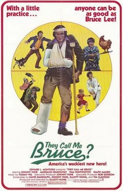 They Call Me Bruce poster