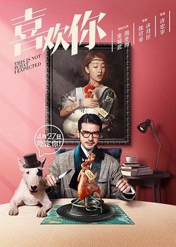 This Is Not What I Expected poster