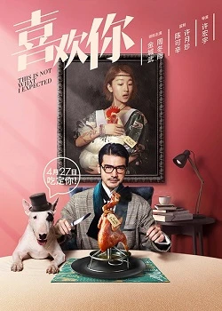 This Is Not What I Expected poster