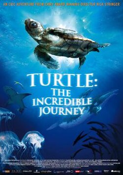 Turtle: The Incredible Journey poster