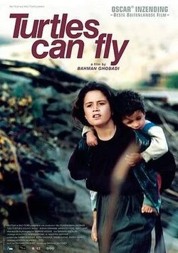 Turtles Can Fly poster