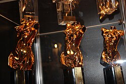 Venus Beauty Institute poster