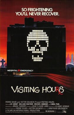 Visiting Hours poster