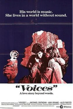 Voices poster