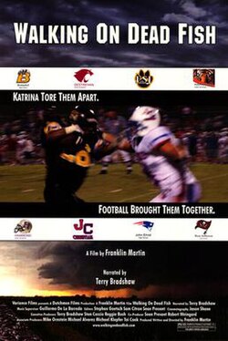 Walking on Dead Fish poster