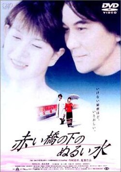 Warm Water Under a Red Bridge poster