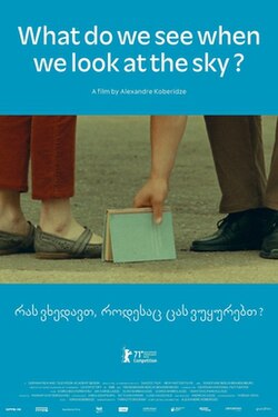 What Do We See When We Look at the Sky? poster