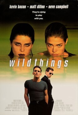 Wild Things poster