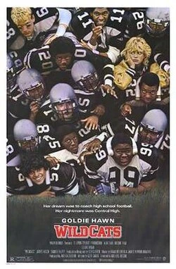 Wildcats poster