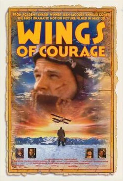 Wings of Courage poster