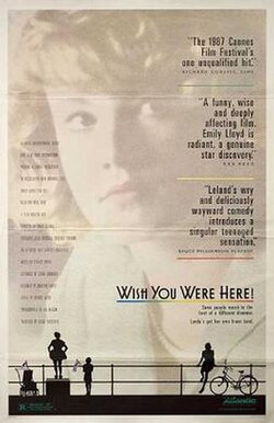 Wish You Were Here poster
