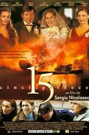 15 poster