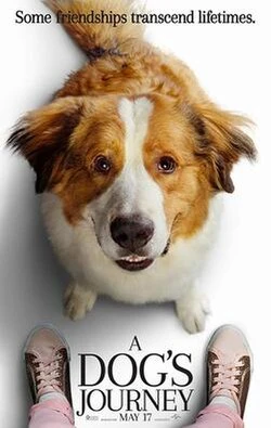 A Dog's Journey poster
